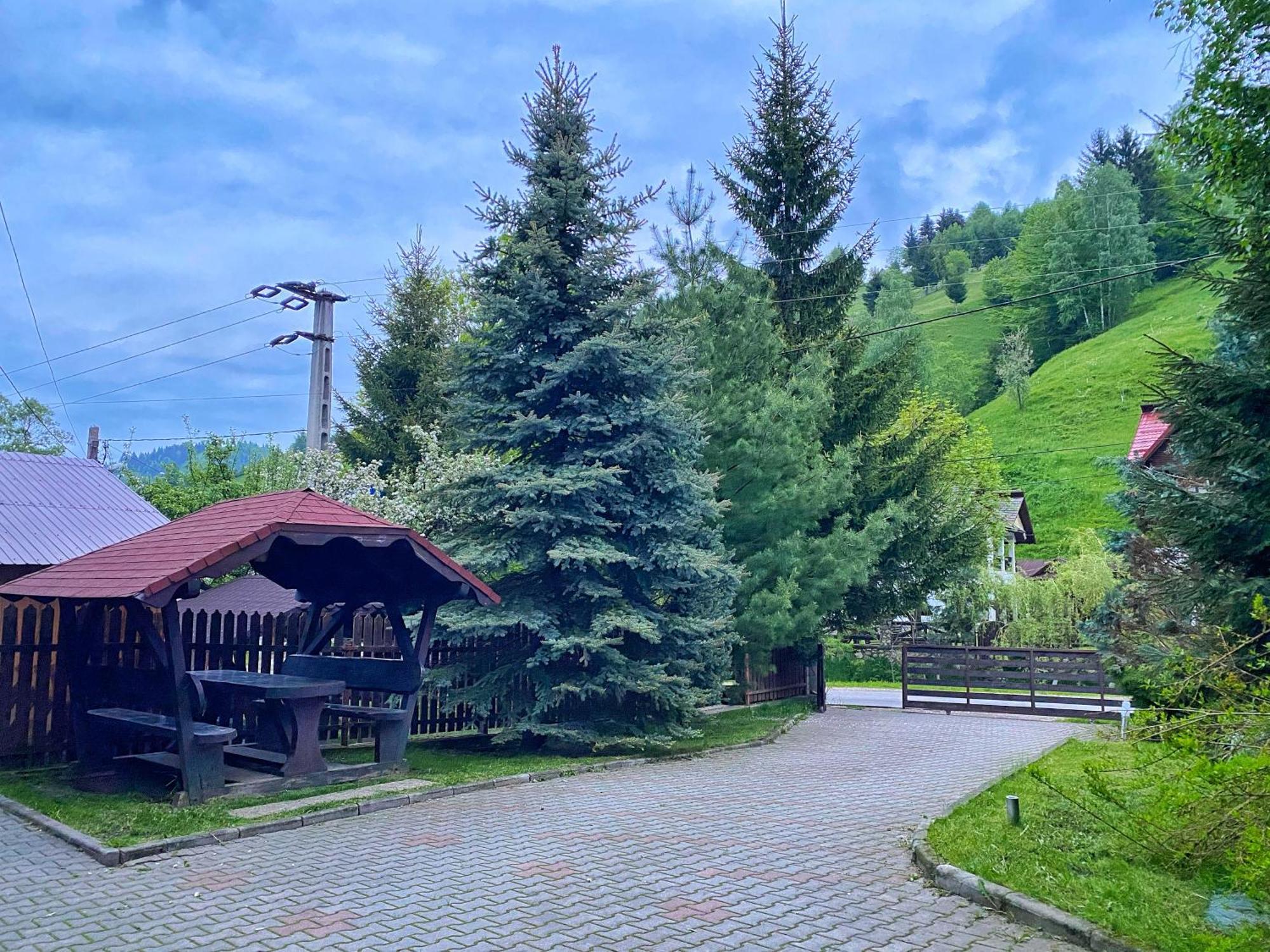Pensiunea Rodis Moeciu De Sus Buitenkant foto